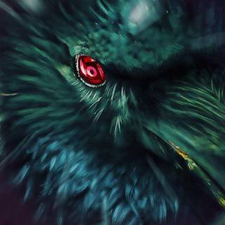 Sasuke sharingan HD wallpaper