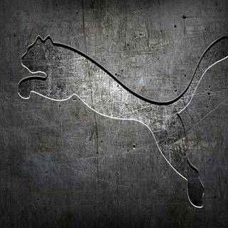 Puma mobile wallpaper