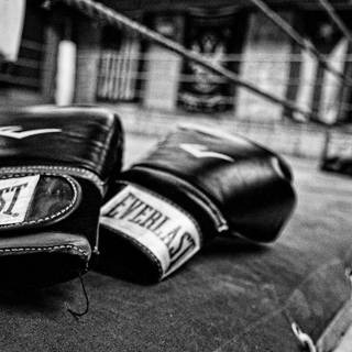 Everlast boxing wallpaper
