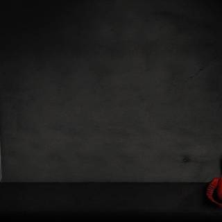 Everlast boxing wallpaper