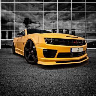 Wallpaper HD bumblebee