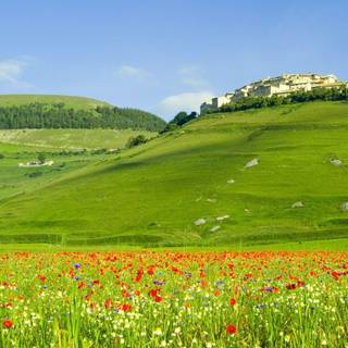 Kashmir HD wallpaper