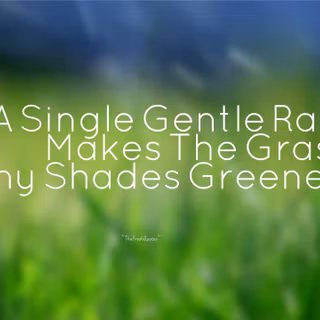 Beautiful rain drops wallpaper with quotes