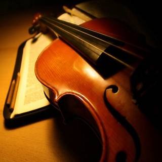 Beautiful violin wallpaper
