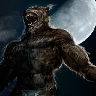 Dark werewolf wallpaper HD