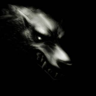 Dark werewolf wallpaper HD