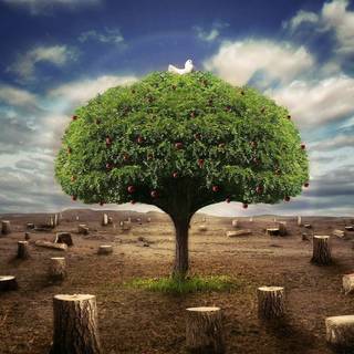 Computer wallpaper full size