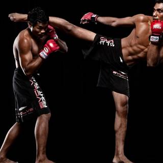 MMA desktop wallpaper