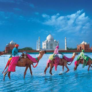 All new Hd wallpaper