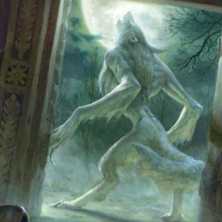 Werewolf HD wallpaper