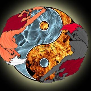 Yin yang wallpaper wolf