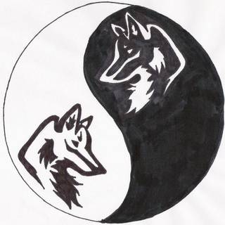 Yin yang wallpaper wolf