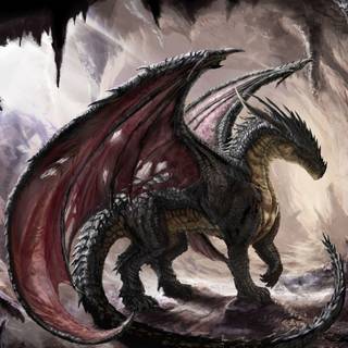 Dragon wallpaper HD