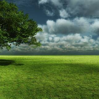 Wallpaper HD nature widescreen