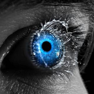 Blue eyes wallpaper