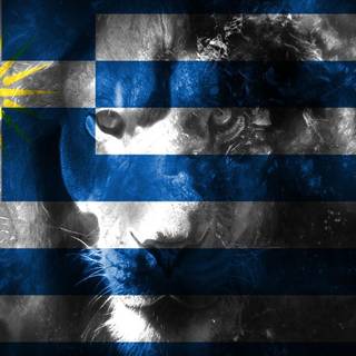 Greek flag wallpaper