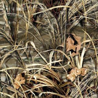 Realtree camo wallpaper