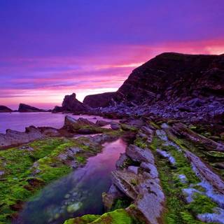 Nature cool wallpaper