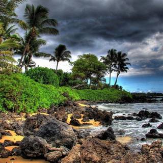 Desktop wallpaper HD full screen