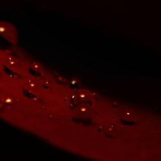 Dark red HD wallpaper