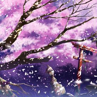 Cherry blossom wallpaper anime