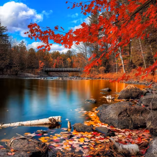 Fall nature backgrounds