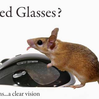 Funny racist wallpaper