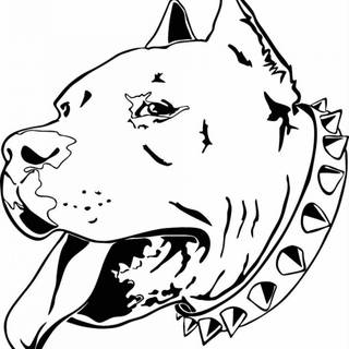 Pitbull logo wallpaper