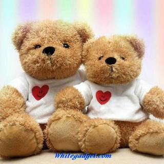 Latest teddy bears wallpaper