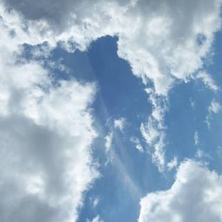 In loving memory background images