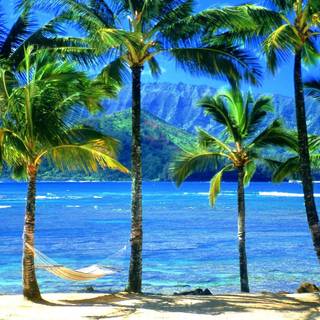 Hawaii background