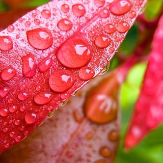 Computer wallpaper desktop background HD