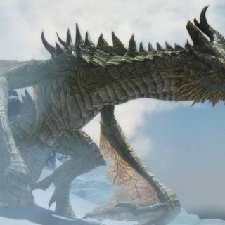 Skyrim paarthurnax wallpaper