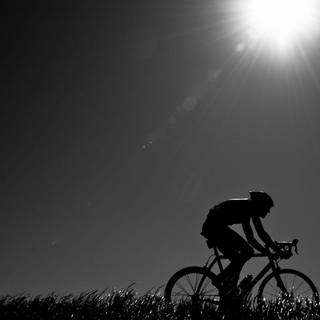 Specialized bike wallpaper