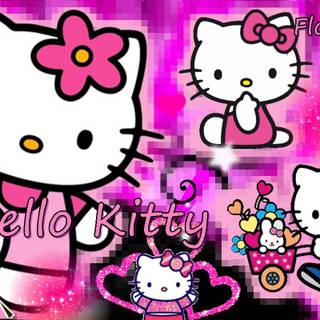 Wallpaper owl kartun