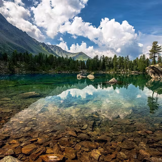 Bass fishing wallpaper for android