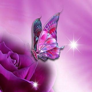 Nice & cute wallpaper