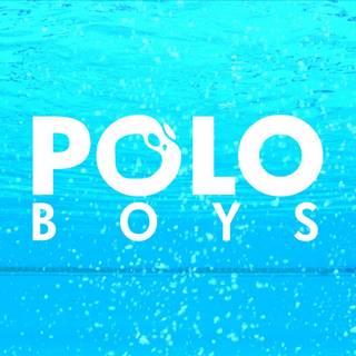 Polo wallpaper