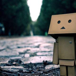 HD danbo wallpaper