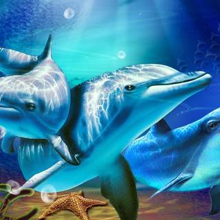 Dolphin wallpaper HD