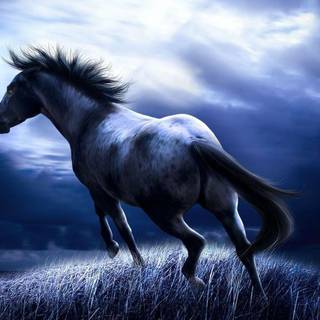 HD wallpaper 1080p 1920x1080