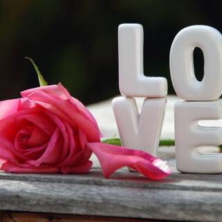 Nice love wallpaper for mobile
