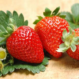 Cute strawberry wallpaper