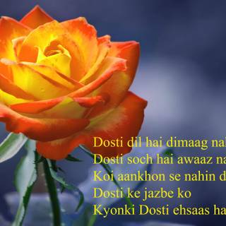 Latest wallpaper of friendship