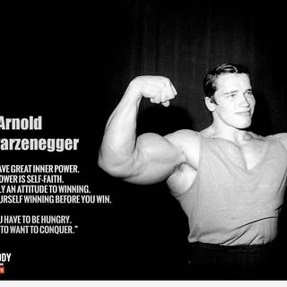 Arnold bodybuilding wallpaper