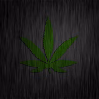 Black marijuana HD wallpaper