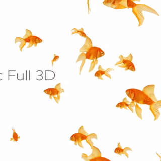 Golden fish wallpaper