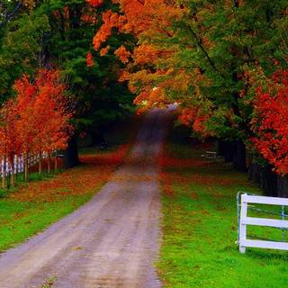 Best HD wallpaper nature