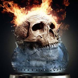 Dangerous skull wallpaper HD