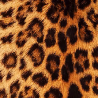 Cheetah print wallpaper
